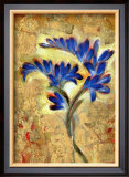 Fresia Framed Giclee Print by Marcella Rose
