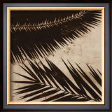 Palmy I Prints by J.b. Hall
