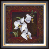 Orchid Study I Art by Thomas Wood