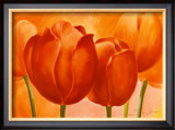 Peach Tulips Prints by Susanne Bach