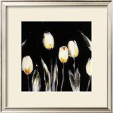 Succulent Tulips Prints by Cheryl Roberts