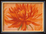 Red Dahlia Posters by Susanne Bach