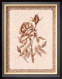 Sepia Rose II Posters by Samuel Kay