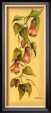 Flores Colgantes II Prints by L. Romero