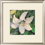 White Lily Prints by Shirley Felts