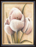 Tulipes Cremes Print by Caroline Wenig