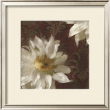 Royal Clematis I Poster by Janel Pahl