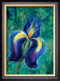 Iris II Framed Giclee Print by Marcella Rose