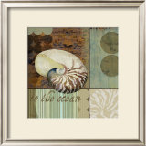 Contemporary Shell II Prints by Paul Brent