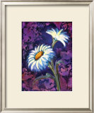 Daisy Framed Giclee Print by Marcella Rose