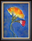 Carnation Framed Giclee Print by Marcella Rose