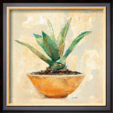 Aloe Print by Laurence David