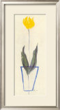 In the Flower of Youth II Posters by G. Tovar