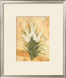 White Surprise Poster by Amelie Parker