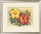 Hawaiian Hibiscus Prints by Eve Hawaii