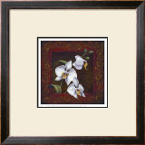 Orchid Study I Prints by Thomas Wood