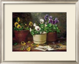 Pansies in Terra Cotta Posters por Del Gish Pansies in Terra Cotta Posters por Del Gish