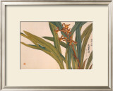 Brown Orchids Posters by Kosikose 