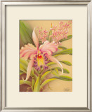 Pink Cattleya Poster by Hale Pua Studio 