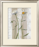 Daisies Posters by Valerie Roy