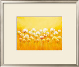 Wild White Poppies Prints by Emily Light
