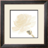 Carnation I Art by George Fossey