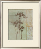 Silver Foliage II Prints by Ella K.