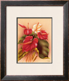 Red and White Anthuriums Framed Giclee Print by Frank Oda