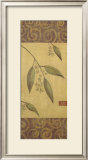 Eucalyptus Leaves I Posters by Gayle Bighouse