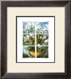 Daisies at the Window Prints by Sonia P.