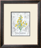 Medicinal Plant IV Posters by D. Ferrer