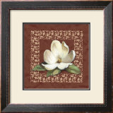 Magnolia Detail I Prints by Brian Lane
