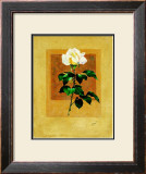Long Stem Rose Prints by Nancy Azneer