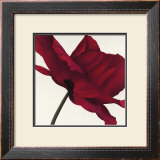 Papaver I Prints by Yvonne Poelstra-Holzhaus