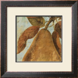 Joli Fruit II Print by Philippa 