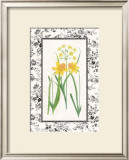 Jonquil and Narcissus I Prints by Sarah Elizabeth Chilton