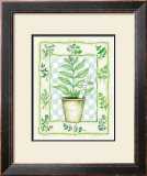 Sage Prints by Robin Betterley
