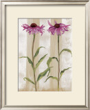 Rudbeckia Posters by Valerie Roy