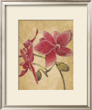 HawaiianTropics II Posters by Elizabeth Jardine