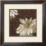 Royal Clematis II Art by Janel Pahl
