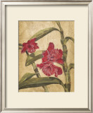 Hawaiian Tropics III Prints by Elizabeth Jardine