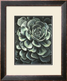 Lunar Succulent II Prints by Megan Meagher