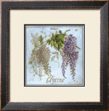 Glycine Art by Vincent Jeannerot