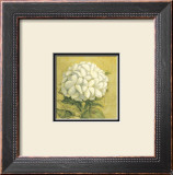 White Flower Posters by Alejandro Mancini