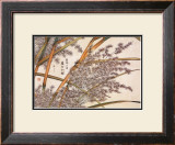 Bamboo Prints by Kosikose 