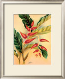 Heliconia Prints by Hale Pua Studio 