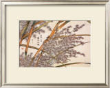 Bamboo Prints by Kosikose 