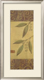 Eucalyptus Leaves II Prints by Gayle Bighouse