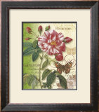 Rose Splendor I Prints by Ching Han
