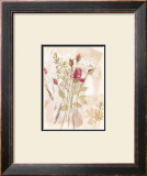 Roses Prints by Maxine Collins